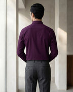 Lifestyle image of man wearing regal purple premium polyester cotton regular fit shirt by Ekrangi